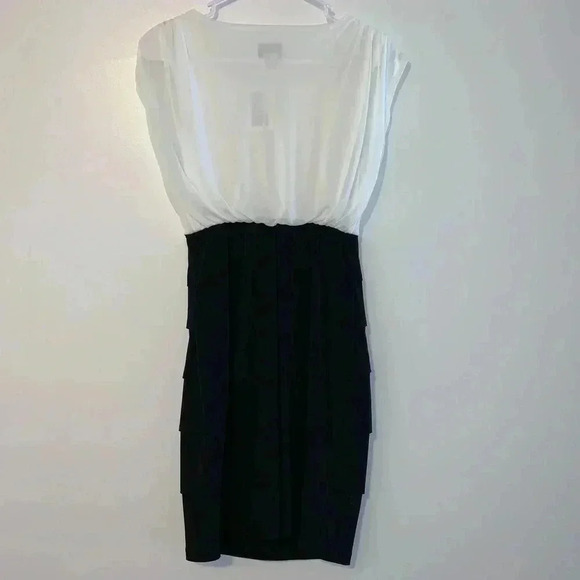 Sweet Storm Pleated Skirt Sheer Top Dress - Picture 2 of 6